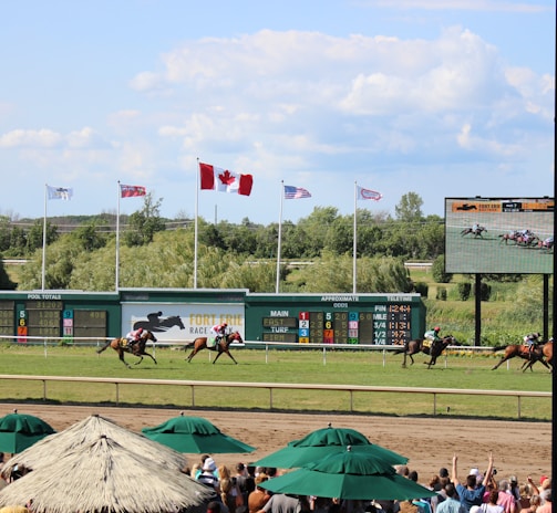A horse racing event is taking place on a sunny day, with a racecourse surrounded by greenery. Several horses with jockeys are actively racing across the track. Spectators are gathered under shaded canopies in the foreground. Multiple flags, including a prominent Canadian flag, are flying above a scoreboard, and a large screen displays the race.